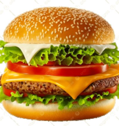 Burger Restaurant in Amritsar | Best Burgers shop in Amritsar near me