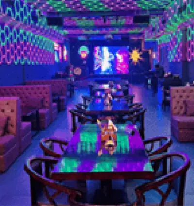 Top Night Clubs in Amritsar | Best Dance Clubs near me Punjab | Dance bar in amritsar