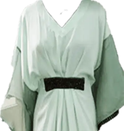 Rental dresses in Amritsar | Party wear dresses on rent in Amritsar Punjab
