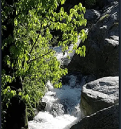Budget hotels in Dalhousie Panchpula | Less Price Hotel in Dalhousie | Paradise Hills