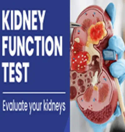 Kidney function tests in Dera Baba Nanak Gurdaspur | Renal function test | Urea and electrolytes tests