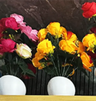 Flower Pot in Dera Baba Nanak | Pot with Flower | Flower Pot Rate | Price | Near Me