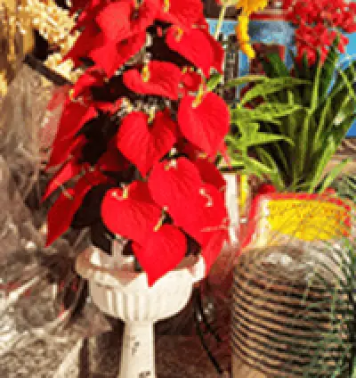 Pot and Artificial Flower in Dera Baba Nanak | Beutifull Flower Pot | Sony Gift House